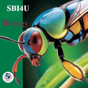 Biology<br>Grade 12<br>University Preparation